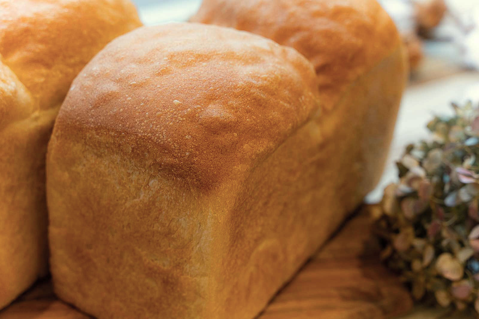 マルヤマベーカーリーシアンのパン